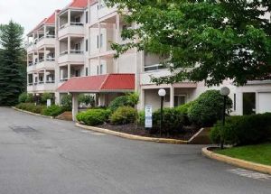 Mountainview Terrace