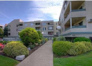 Tamarack Terrace