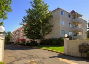 Mountain View Terrace