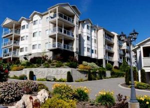 Bay Vista