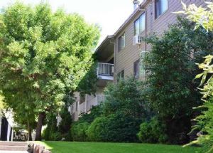 Evergreen Apartments