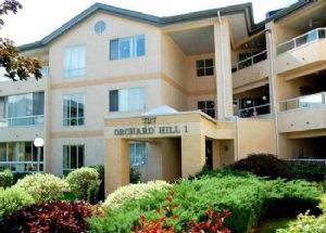 Orchard Hill 1